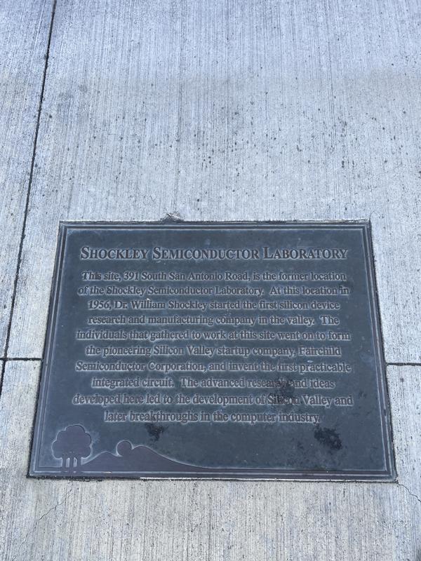 Shockly plaque
